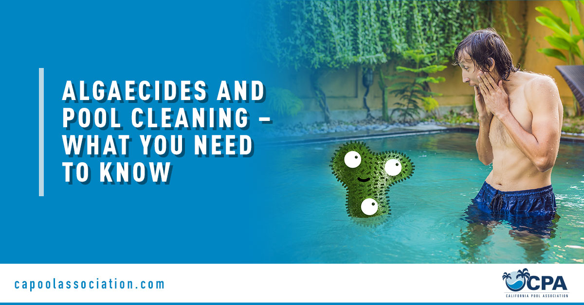 Male Shocked to Algae on Pool - Banner Image for Algaecides and Pool Cleaning – What You Need to Know Blog