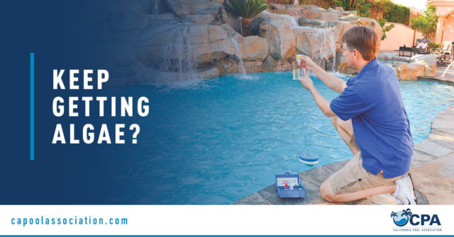 Pool Service Professional Holding Testing Kit - Banner Image for Keep Getting Algae Blog
