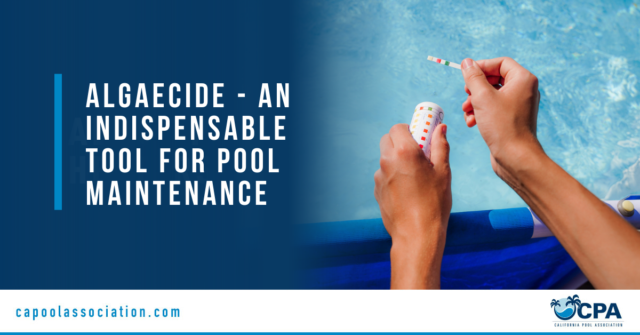 Swimming Pool Testing - Banner Image for Algaecide - An indispensable Tool for Pool Maintenance Blog